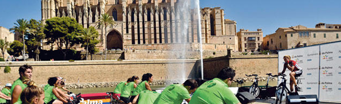 palma